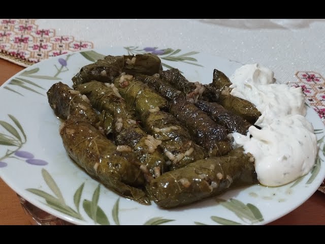 ΝΤΟΛΜΑΔΑΚΙΑ ΓΙΑΛΑΤΖΙ ΠΟΛΙΤΙΚΑ